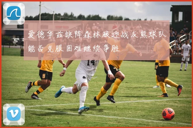 爱德华兹缺阵森林狼迎战灰熊球队能否克服困难继续争胜