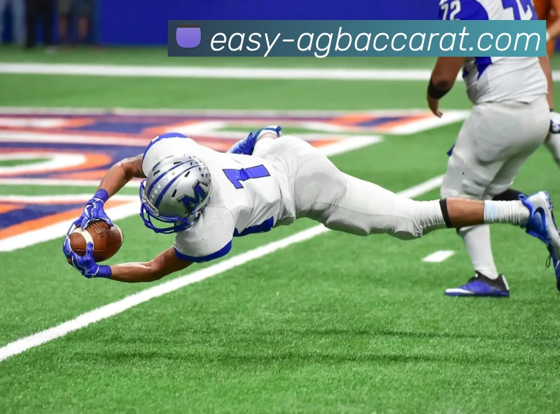 AG百家乐APP 体育赛事宣传图